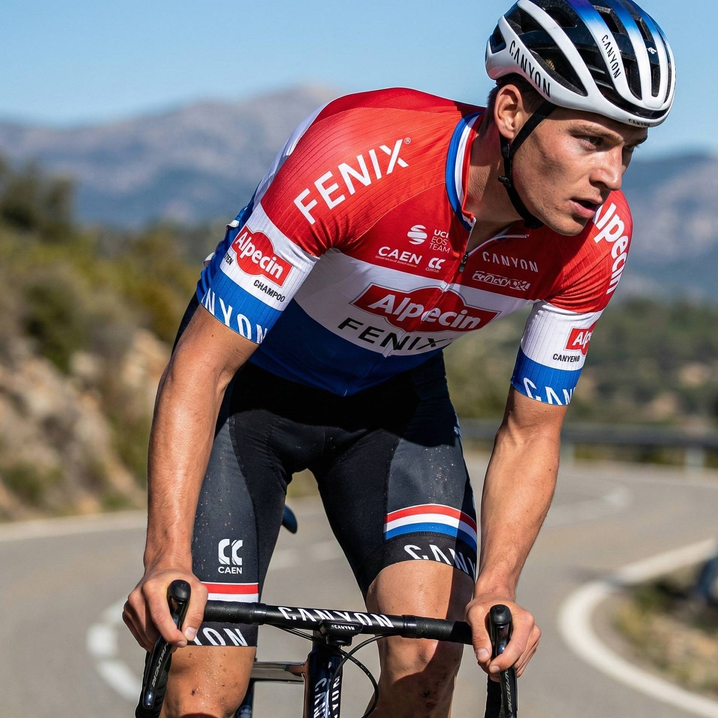 Conjunto Ciclismo Alpecin Fenix - Camisa + Bretelle/Short - Cores Holanda UCI Pro Team